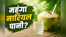 महंगा हो गया है नारियल पानी? ये 3 देसी और सस्ती ड्रिंक्स करेंगी वही काम