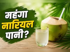 महंगा हो गया है नारियल पानी? ये 3 देसी और सस्ती ड्रिंक्स करेंगी वही काम