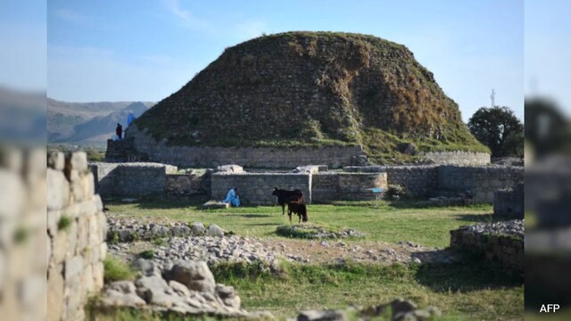 Story image