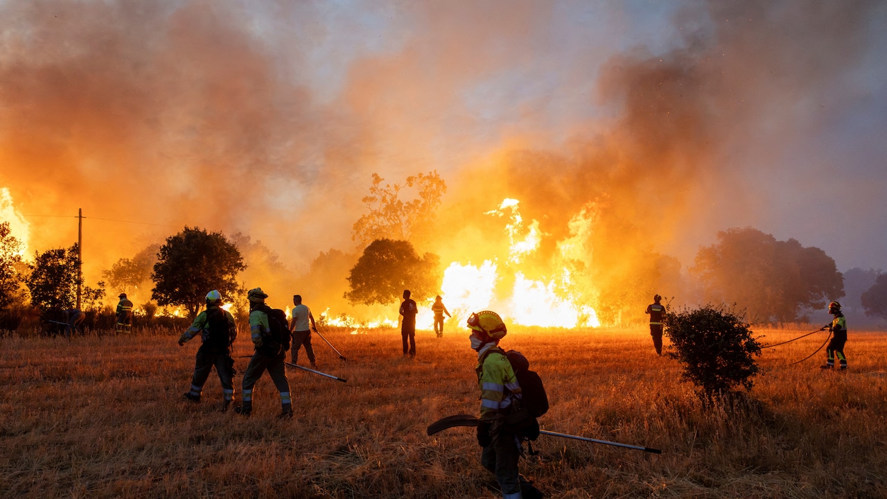 Firefighters use rakes and hoses to combat flames spreading across a dry field in Spain as thick smoke fills the sky