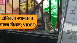 VIDEO: डोंबिवली रेल्वे स्थानकात गोंधळ! 'ते' दृश्य पाहून रेल्वेचे कर्मचारी पळाले; प्रवाशांची भितीने गाळण उडाली