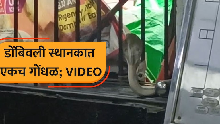 VIDEO: डोंबिवली रेल्वे स्थानकात गोंधळ! 'ते' दृश्य पाहून रेल्वेचे कर्मचारी पळाले; प्रवाशांची भितीने गाळण उडाली