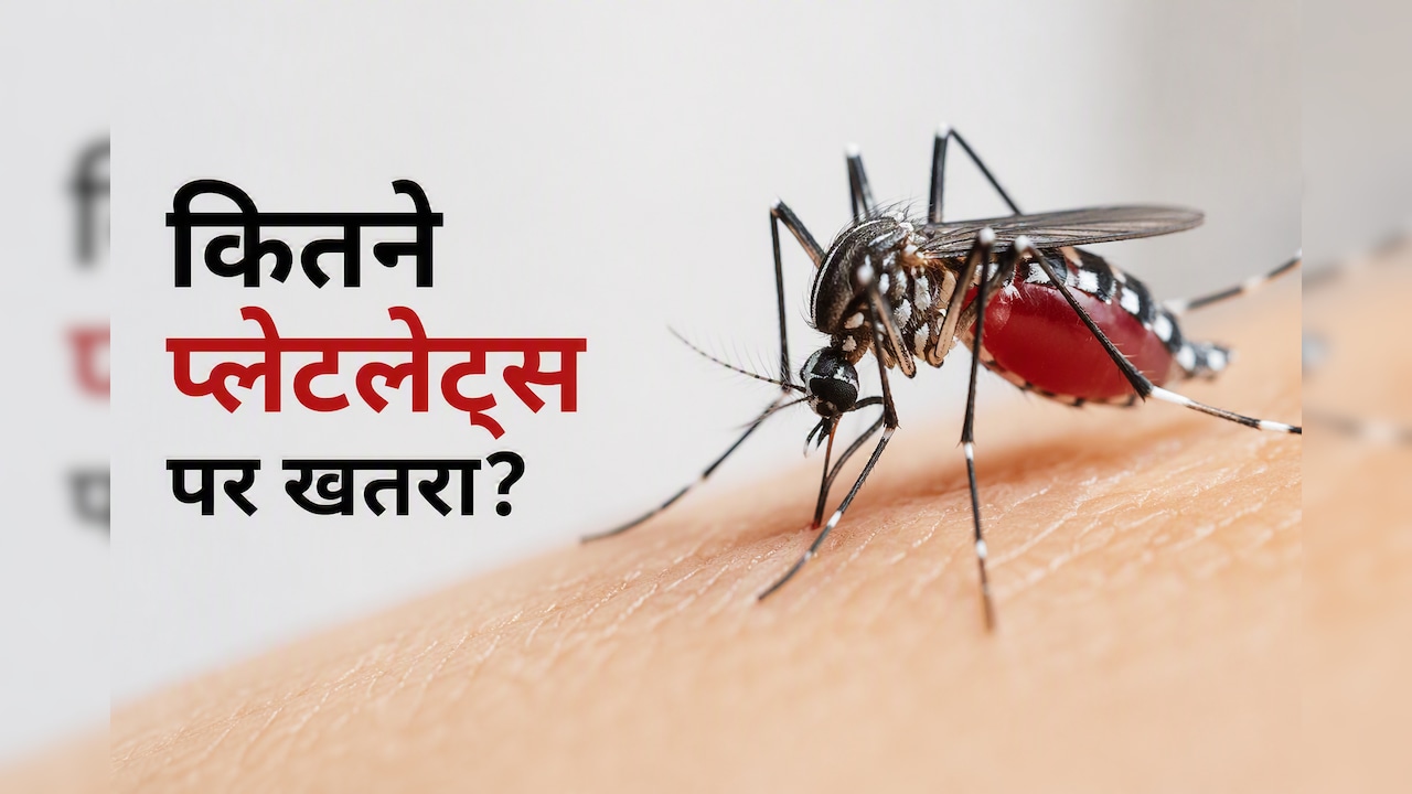 डेंगू में प्लेटलेट्स कितने गिरने पर बढ़ता है खतरा? डॉक्टर ने बताईं 3 बड़ी गलतियां