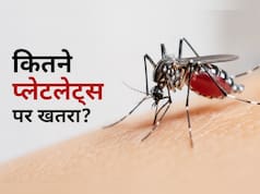 डेंगू में प्लेटलेट्स कितने गिरने पर बढ़ता है खतरा? डॉक्टर ने बताईं 3 बड़ी गलतियां