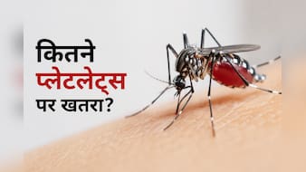 डेंगू में प्लेटलेट्स कितने गिरने पर बढ़ता है खतरा? डॉक्टर ने बताईं 3 बड़ी गलतियां