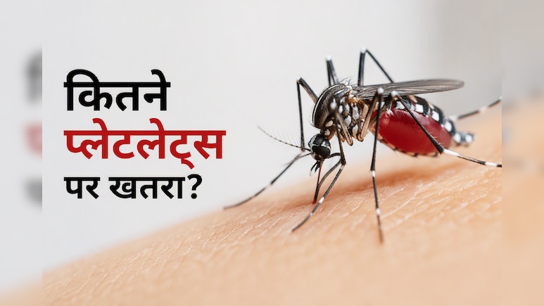 डेंगू में प्लेटलेट्स कितने गिरने पर बढ़ता है खतरा? डॉक्टर ने बताईं 3 बड़ी गलतियां