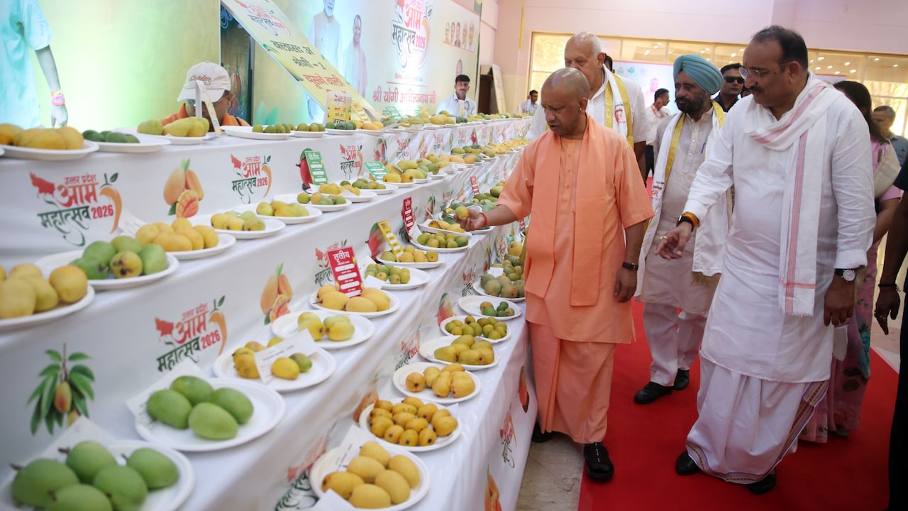 Mango Festival in Lucknow Mango Festival in Lucknow
