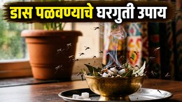 Mosquito Spray: घरातल्या फक्त 3 गोष्टी अन् डासांचा खेळ खल्लास; केमिकलशिवाय डास पळवण्याचे सोपे घरगुती उपाय