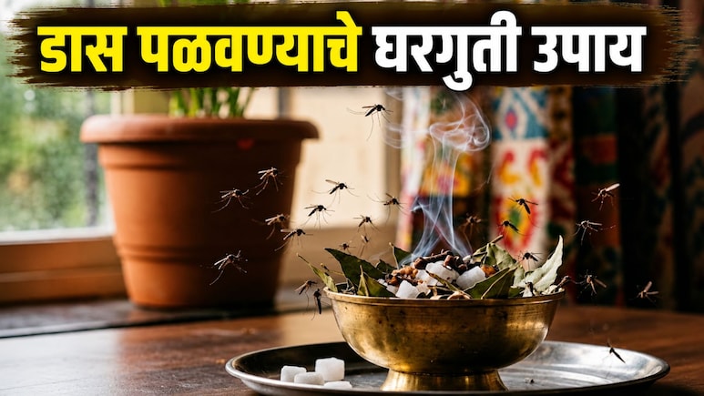 Mosquito Spray: घरातल्या फक्त 3 गोष्टी अन् डासांचा खेळ खल्लास; केमिकलशिवाय डास पळवण्याचे सोपे घरगुती उपाय