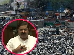 Ram Kadam : 'मी त्यामुळे आई गमावलीय, आता तरी...' कबुतरखान्याच्या मुद्दावर राम कदम भावुक, विधानसभेत मोठी मागणी