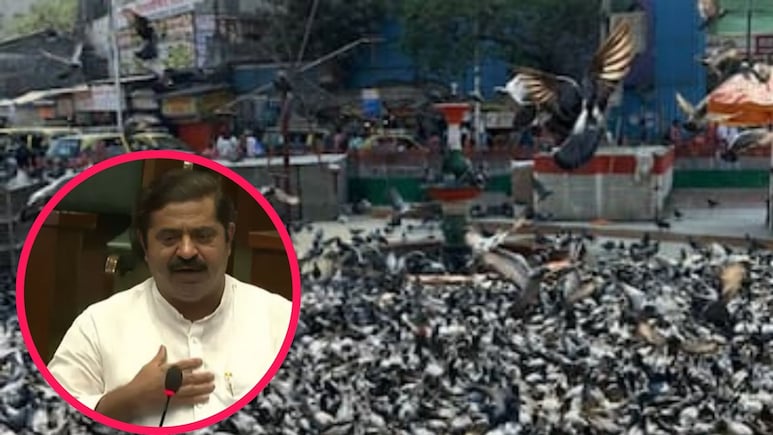 Ram Kadam : 'मी त्यामुळे आई गमावलीय, आता तरी...' कबुतरखान्याच्या मुद्दावर राम कदम भावुक, विधानसभेत मोठी मागणी