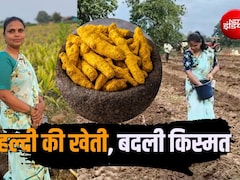 Success Story: PM मोदी से सम्मानित महिला किसान ने फिर किया कमाल, खास किस्म की हल्दी से लाखों कमा रहीं कंचन