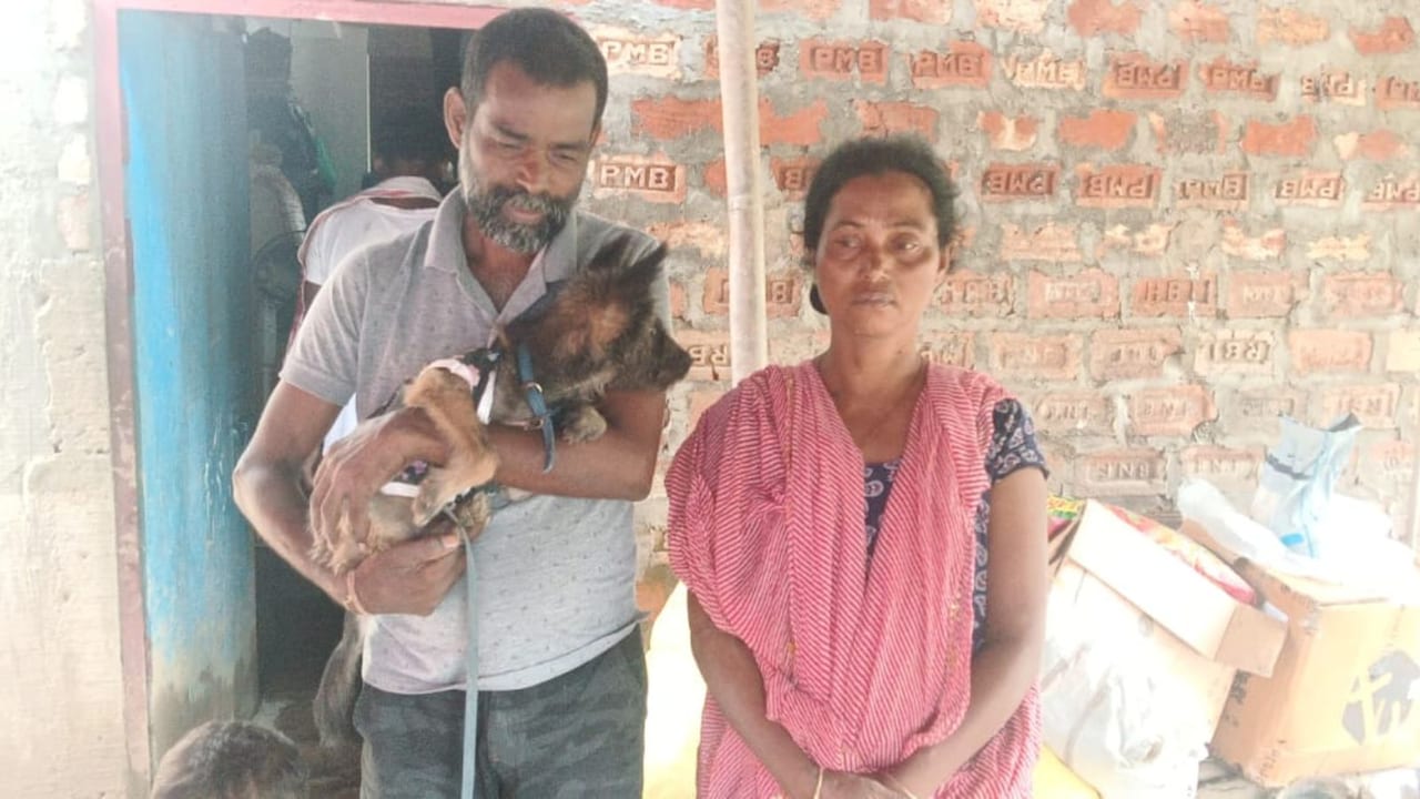 "You Also Come": Assam Boy, Trying To Save Pet Dog, Swept Away By Floodwater