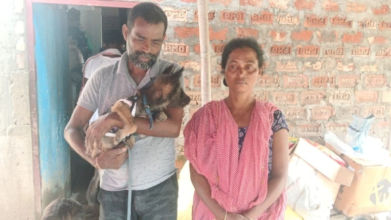 "You Also Come": Assam Boy, Trying To Save Pet Dog, Swept Away By Floodwater