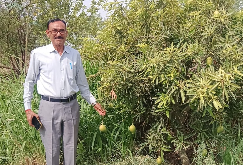 राम सिंह मीणा