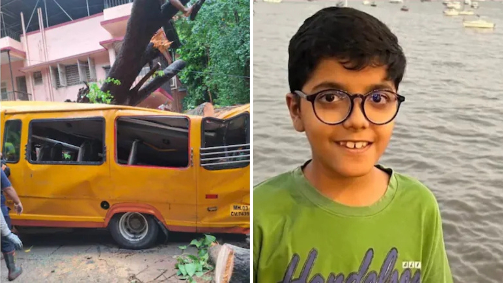 Mumbai Civic Body Suspends Official After Tree Collapse Kills 11-Year-Old Boy
