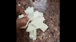 Customer Alleges Blinkit Delivered 'Fake' High-Protein Paneer, Company Denies Claim