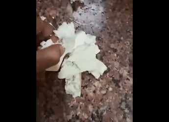 Video: Customer Complains Blinkit Delivered 'Fake' High-Protein Paneer, Company Responds