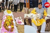 मालिक की अर्थी उठी तो थम गई पालतू कुत्ते की सांसें, 15 साल की वफादारी की इस कहानी ने सबको रुला दिया