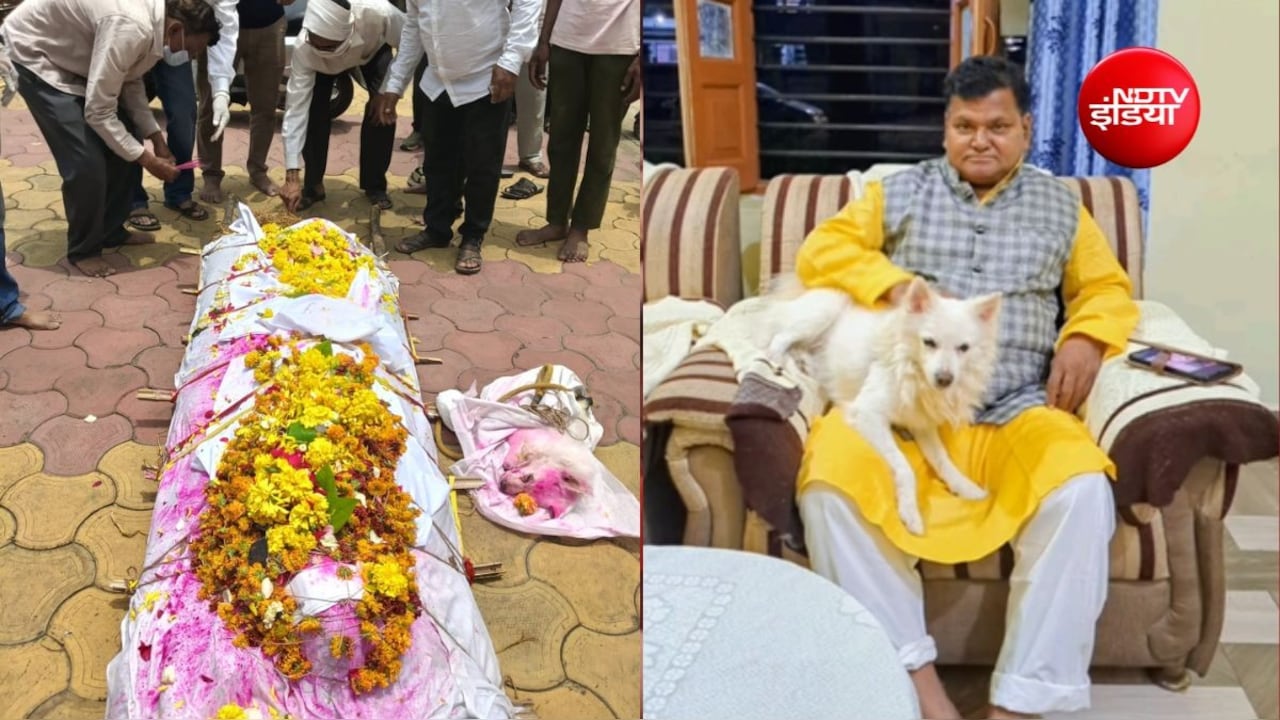 मालिक की अर्थी उठी तो थम गई पालतू कुत्ते की सांसें, 15 साल की वफादारी की इस कहानी ने सबको रुला दिया