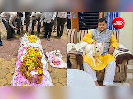 मालिक की अर्थी उठी तो थम गई पालतू कुत्ते की सांसें, 15 साल की वफादारी की इस कहानी ने सबको रुला दिया