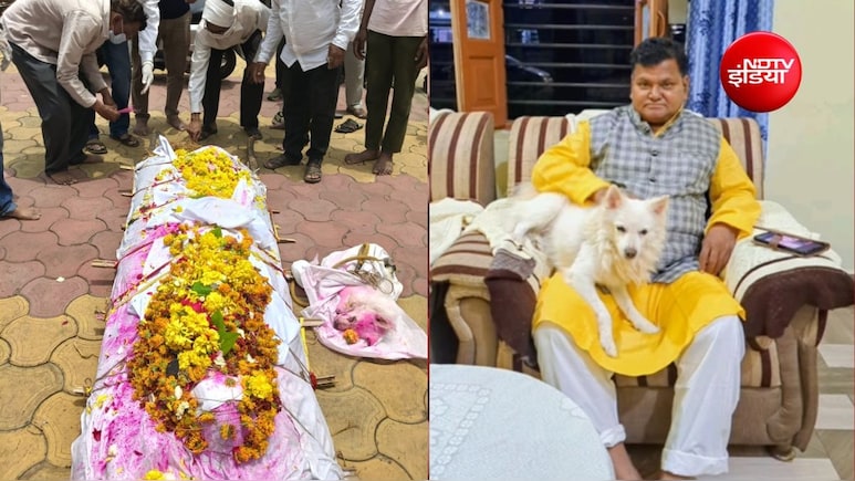 मालिक की अर्थी उठी तो थम गई पालतू कुत्ते की सांसें, 15 साल की वफादारी की इस कहानी ने सबको रुला दिया
