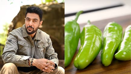 Celebrity Chef Ranveer Brar Reveals The Right Way To Cut Green Chillies