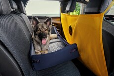 This Brand Is Designing Car For Dogs: Are You Willing To Buy It For Your Furry Friend?