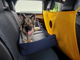 This Brand Is Designing Car For Dogs: Are You Willing To Buy It For Your Furry Friend?