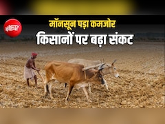 मॉनसून ने तोड़ी किसानों की उम्मीदें, 372 जिलों में कमजोर बारिश, 14 राज्यों के CM से बात करेंगे शिवराज