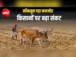 मॉनसून ने तोड़ी किसानों की उम्मीदें, 372 जिलों में कमजोर बारिश, 14 राज्यों के CM से बात करेंगे शिवराज