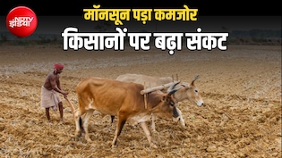मॉनसून ने तोड़ी किसानों की उम्मीदें, 372 जिलों में कमजोर बारिश, 14 राज्यों के CM से बात करेंगे शिवराज