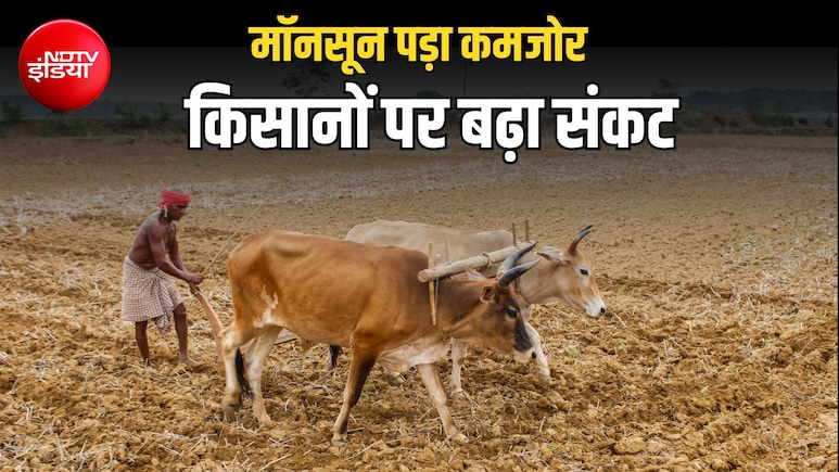 मॉनसून ने तोड़ी किसानों की उम्मीदें, 372 जिलों में कमजोर बारिश, 14 राज्यों के CM से बात करेंगे शिवराज