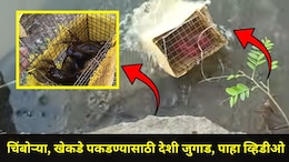 Pune News: पुण्याच्या तरुणाची सर्वत्र चर्चा,  भन्नाट जुगाड करून चिंबोरी, खेकडे पकडले, धंदाही तेजीत, पाहा Video