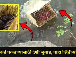 Pune News: पुण्याच्या तरुणाची सर्वत्र चर्चा,  भन्नाट जुगाड करून चिंबोरी, खेकडे पकडले, धंदाही तेजीत, पाहा Video