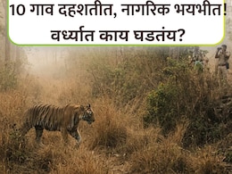 Wardha News: सावधान! वर्ध्यातील 10 गावात फिरतोय मृत्यू, घराबाहेर पडणेही मुश्कील; प्रशासनही हैराण