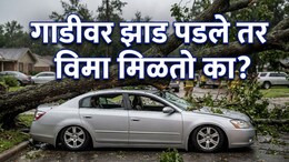 Car Insurance Claim : ..तर थेट बँक खात्यात जमा होतील पैसे; कारवर झाड पडल्यास 'हे' काम करायला विसरू नका