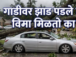Car Insurance Claim : ..तर थेट बँक खात्यात जमा होतील पैसे; कारवर झाड पडल्यास 'हे' काम करायला विसरू नका