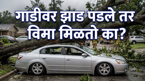 Car Insurance Claim : ..तर थेट बँक खात्यात जमा होतील पैसे; कारवर झाड पडल्यास 'हे' काम करायला विसरू नका