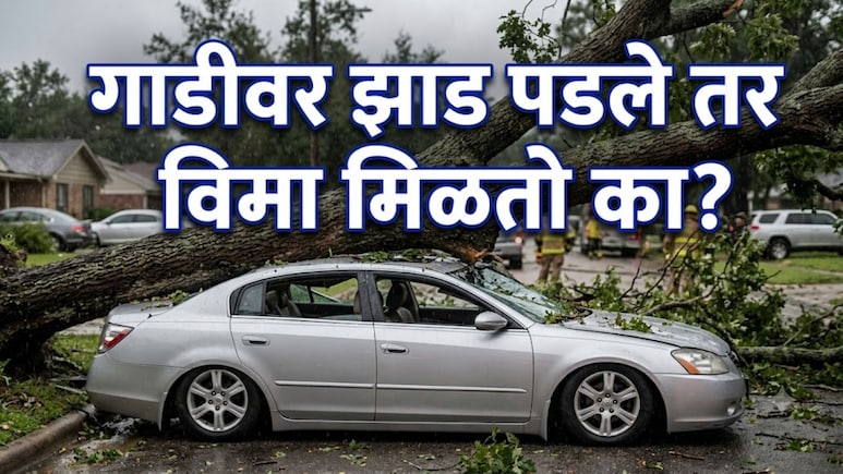 Car Insurance Claim : ..तर थेट बँक खात्यात जमा होतील पैसे; कारवर झाड पडल्यास 'हे' काम करायला विसरू नका