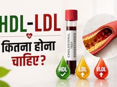 ब्लड रिपोर्ट में हाई LDL देख कर डर गए? कितना होना चाहिए HDL, LDL, VLDL, ये समझें कोलेस्ट्रॉल का खेल