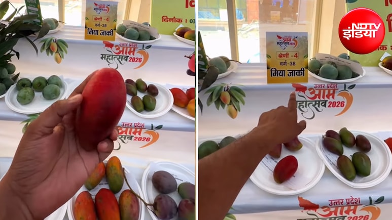 Viral Video: इस आम को खाने के लिए लेना पड़ सकता है लोन! कीमत सुनकर उड़ जाएंगे होश