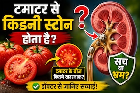 क्या टमाटर या उसके बीज खाने से किडनी स्टोन हो जाता है? जानिए इस आम मिथक का सच