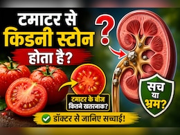 क्या टमाटर या उसके बीज खाने से किडनी स्टोन हो जाता है? जानिए इस आम मिथक का सच