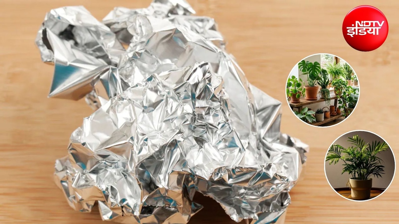 इस्तेमाल की हुई Aluminium Foil से पौधों को मिलेगा फायदा, जानें 4 आसान तरीके