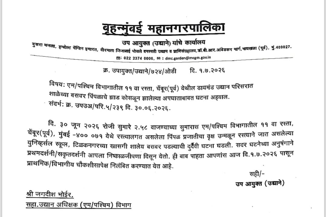mumbai chembur tree collapse vihaan death bmc suspends officer updates