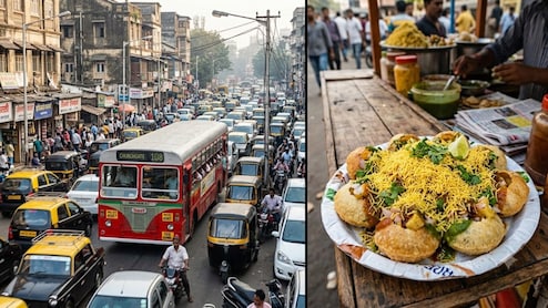 मुंबईत चाललंय काय? शेवपुरी खाण्यासाठी ड्रायव्हरनं BEST बस भररस्त्यात 20 मिनिटं थांबवली; धमकीही दिली,  VIDEO
