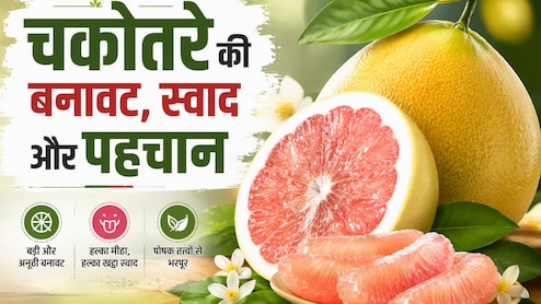 चकोतरा से चौतरफा बचाव! हर रोग का तोड़ है ये फल, पोषण वैल्यू जानकर हो जाएंगे हैरान