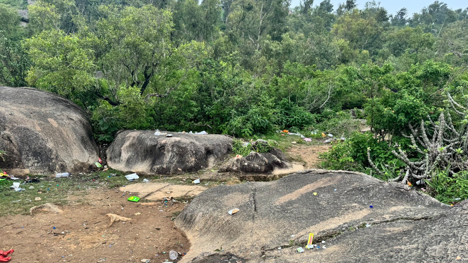 Investor Highlights India's Tourism Waste Problem