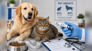 Weight-Loss Drugs For Pets? Obese Cats, Dogs May Soon Get New Treatments: What We Know